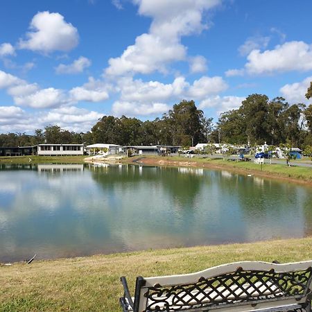 Australian Motor Home Tourist Park Twelve Mile Creek Karuah Exteriör bild